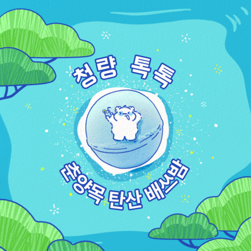 클리베어 춘양목 버블배쓰밤 2개+탄산배쓰밤 2개 (총 4개)
