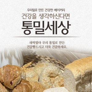 새싹발아 통밀만 통밀세상 통밀빵 17종